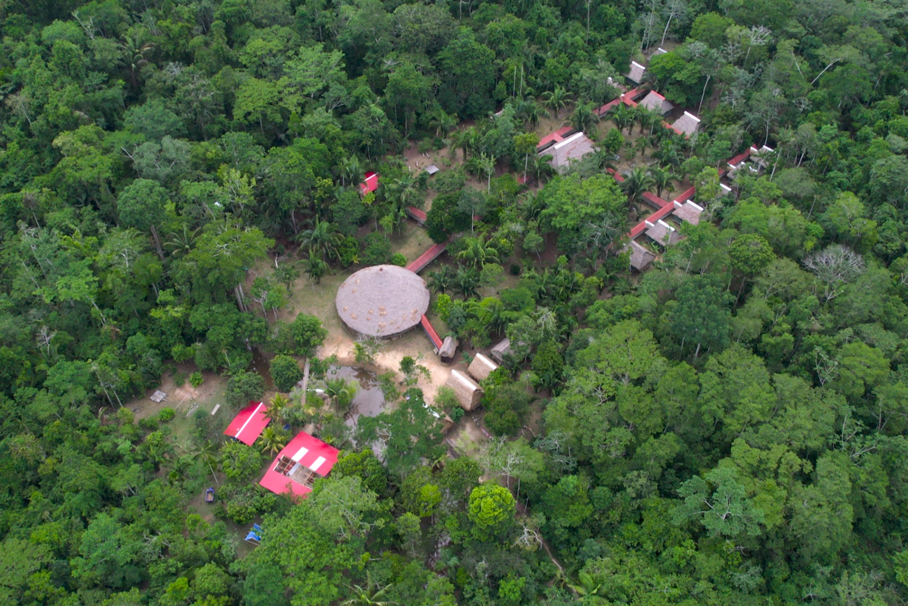 Protected Rainforest