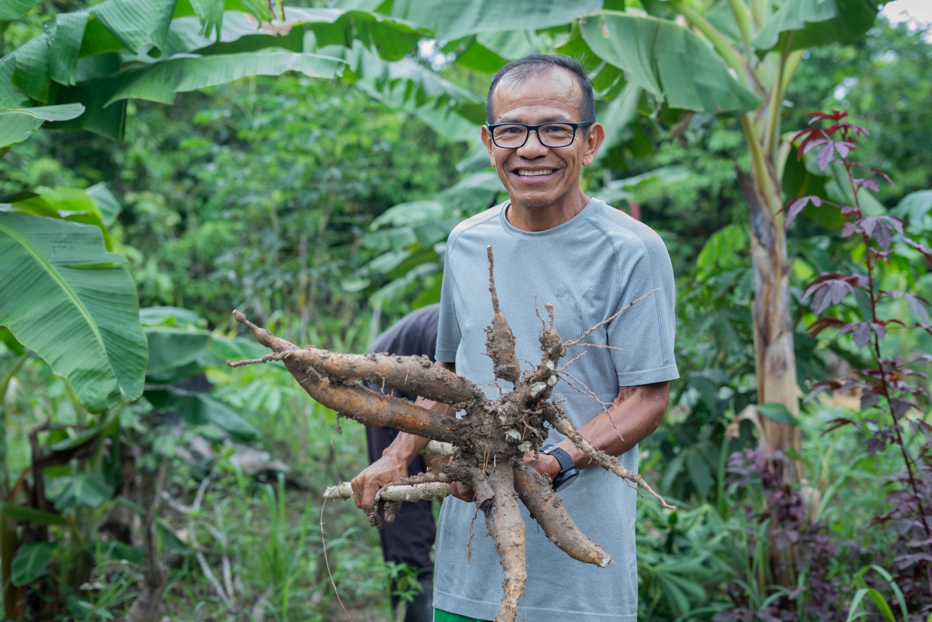 Teacher Trees & Medicinal Plants