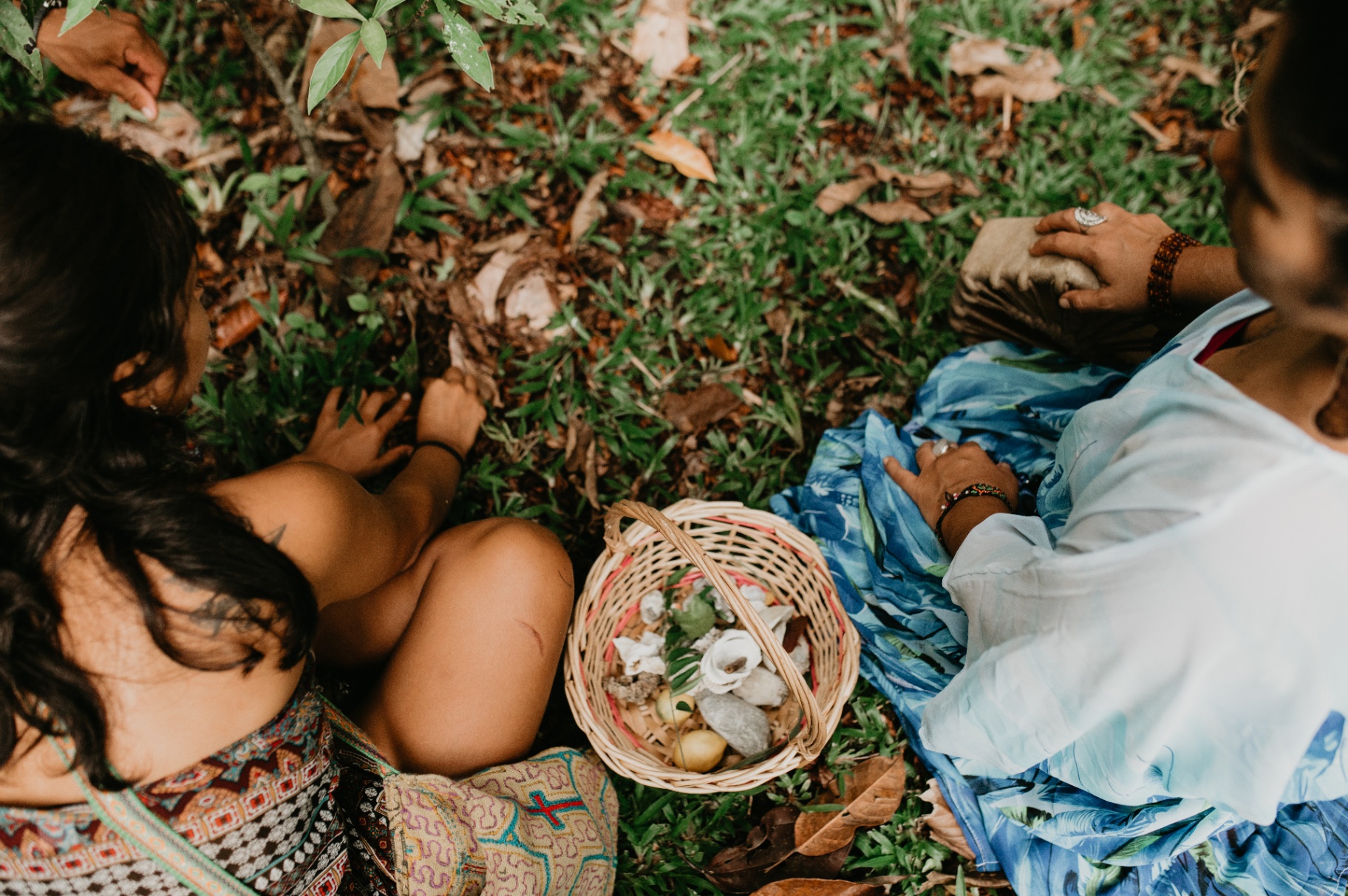Hands gathering seeds and natural offerings in a woven basket on the forest floor