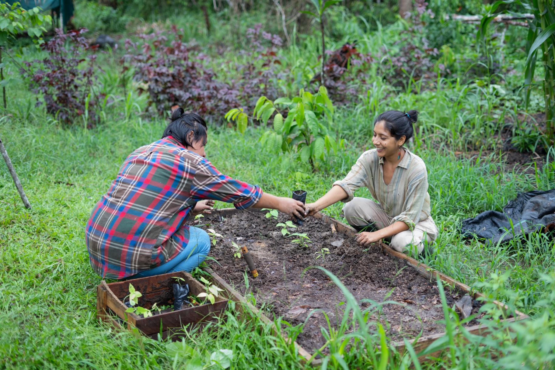 Community Stewardship